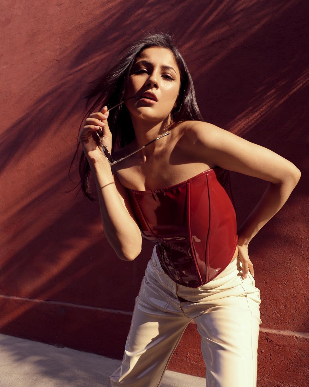 शहनाज ने करवाया स्टाइलिश फोटोशूट, लगी खूबसूरत