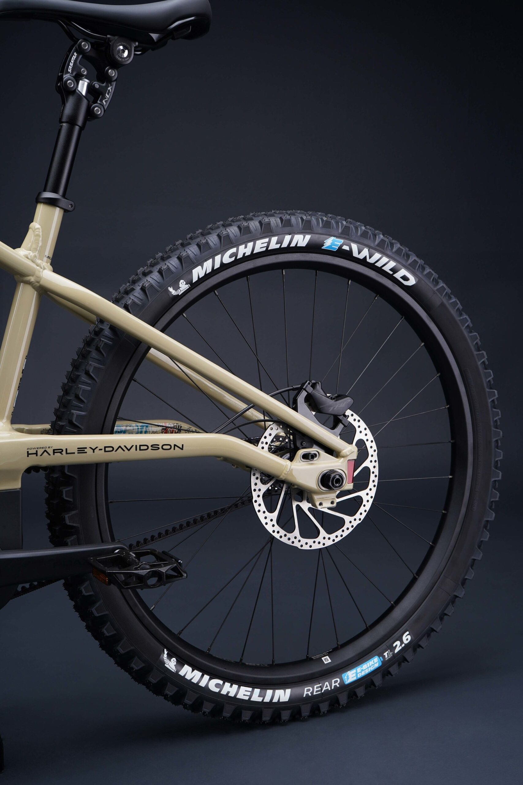 95 km रेंज वाली Harley-Davidson इलेक्ट्रिक साइकिल लॉन्च, जानें कीमत और फीचर्स