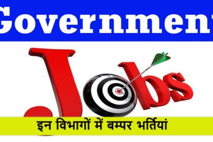 Govt Job